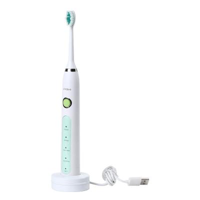 China High Quality Sonic Toothbrush Heads Customized Electric Material Electric Toothbrush D9208 for sale