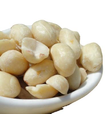 China Peanut Maker High Nutritional Blanched Fresh Peanut for sale