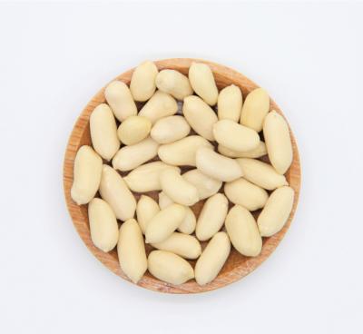 China Fresh Hot Sale China Raw Ground Peanut Inshell 9/11 for sale