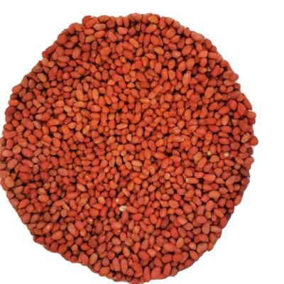 China High Quality Dried Red Skin Peanut Kernels 50/60 60/70 for sale