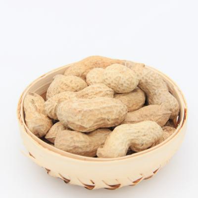 China Fresh bulk raw peanut in the shell for sale