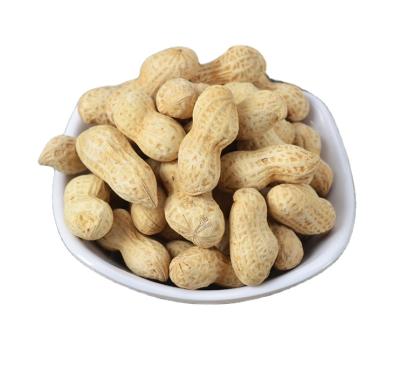 China Dry peanut in the shell for sale