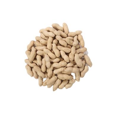 China Size 9/11 Peanut Inshell Shell / Dried Raw Peanut Peanuts for sale