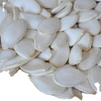 China Supply Premium Factory Grade Dry White Pumpkin Seed for sale