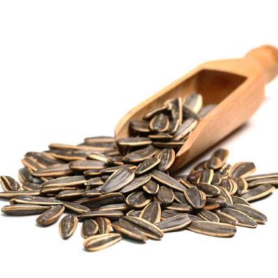 China Sunflower Seed Raw Hybrid Ornamental Sunflower Seeds 363 On Sale for sale