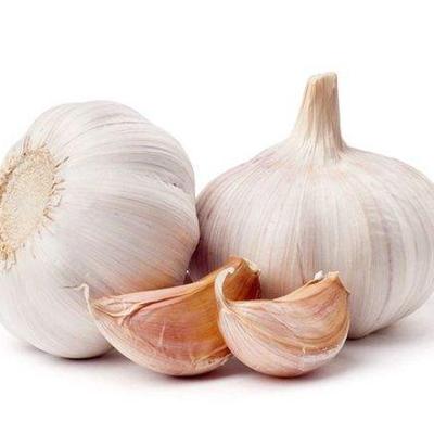 China Wholesale 100% Fresh Natural White Organic Garlic for sale