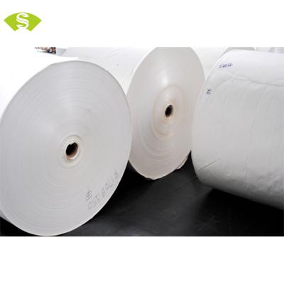 China Food Grade Waterproof Biodegradable And Compostable PLA Coated Roll Paper for sale