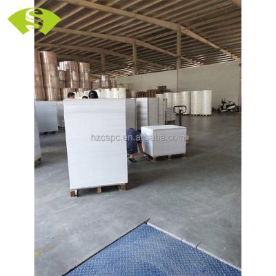 China Waterproof Virgin Wood Pulp PE Coating Paper Cup Paper Sheet For Making Drink Disposable Hot Paper Cup for sale