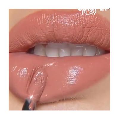 China Wholesale Makeup Waterproof Moisturizing Liquid Lipstick Dropping High Dye Creamy Nude Vegan for sale