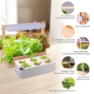 China American Style Wooden Minigarden LED Indoor Garden Sprouting Kit Smart Garden Easy Indoor Plants For Growing Indoor Vegetable Plants for sale