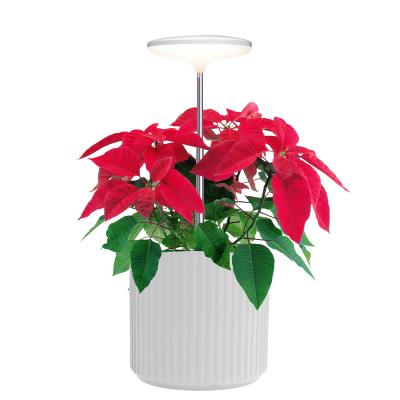 China Working Automatically LED Umbrella Plant Grow Light High Power Height Adjustable Smart Mini Garden Kit Grow Lamp For Plants Mini Plant Light for sale