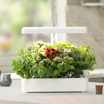 China FREE SHIPPING USA LED Indoor Garden Herb Garden Decorative Hydroponic Growing System Work Automatically for sale