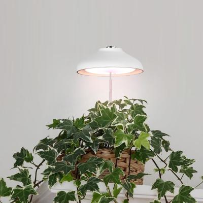 China INDOOR MINI USB GROW USB serface LIGHTWEIGHT portable umbrella led lamp led lights good for plants for sale