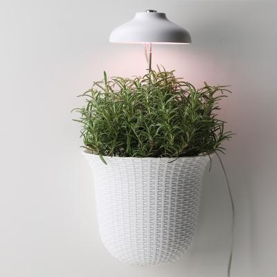 China Minimalist Small Umbrella Plant Grow Indoor Lightweight Mini USB Grow System Home Decorative Gardening Kit for sale