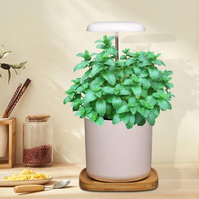 China Modern Indoor Gardening Plant Grow Light Led With Base For Plant Pots Full Spectrum 5 Brightness Dimmable Ideal For Small Plants for sale