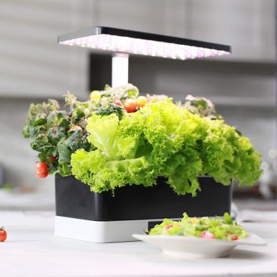 China Mini Size LED Indoor Smart Garden Kit Adjustable Indoor Gardening System Plant Growing Hydroponic Growing Machine for sale