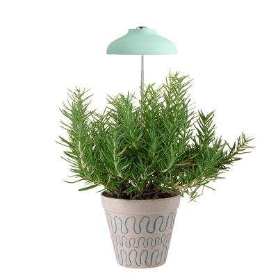 China DIY Mini USB LED Indoor Garden Green Umbrella Smart Garden Indoor Grass Kit Grow Kit Smart Garden Plant Light For Indoor Plants for sale