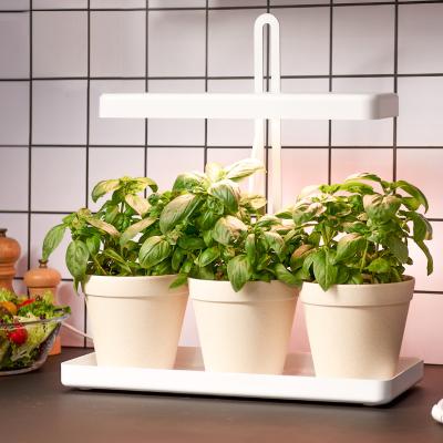 China 20w Hydroponic Led Full Spectrum Grow Light White Detachable Led Indoor Garden Light Indoor Garden Decoration for sale