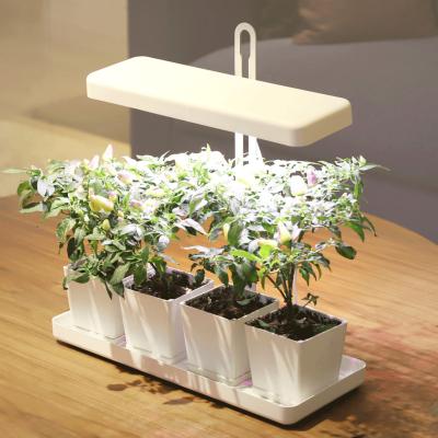 China 20w Hydroponic Full Spectrum Planting Led Herb Garden White Desktop Grow Light Indoor Vegetable Garden for sale