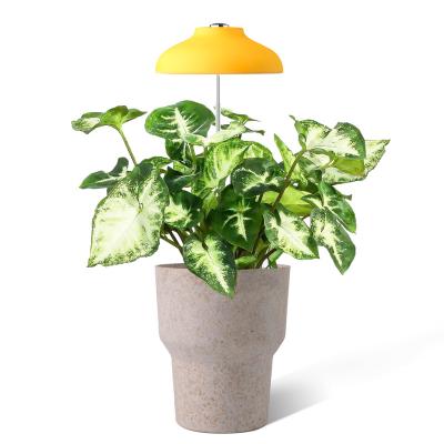 China Full Spectrum USB LED Indoor Herb Garden Plant Lamp Yellow Decorative Umbrella Lamp Grow Indoor Garden Light Set for sale