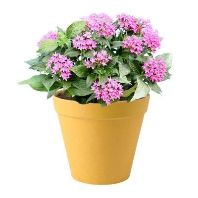 China Nordic Plant Planters Plastic Planter Pot Kit Nordic Plastic Flower Pot For Garden Plant Flowerpot Plastic Pots for sale