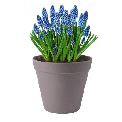 China Scandinavian Eco-friendly Planters 3 Colors Flower Pot For Garden Plant Flowerpot Plant Kit Planter Plastic Pot for sale