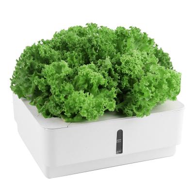 China Scandinavian high quality indoor garden white 4 pods hydroponic grow box hydroponic pot for garden plant for sale