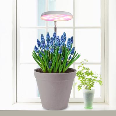 China Functional Functional Controller Grow Flower Light Running Plant Pot USB Medicine Plant Light Indoor Lightplanter Companion for sale