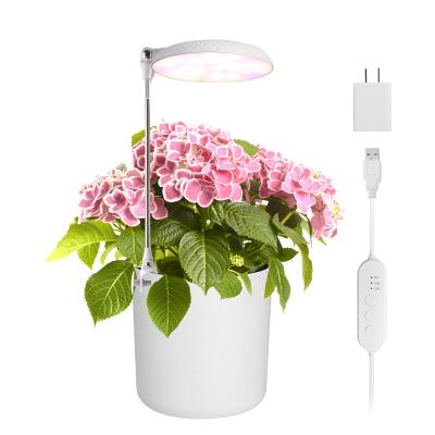 China Seed Seed Planting Table Top Plant Led Planter Companion Full Spectrum Dimmable Led Home Growing Kit Decorations For Home for sale