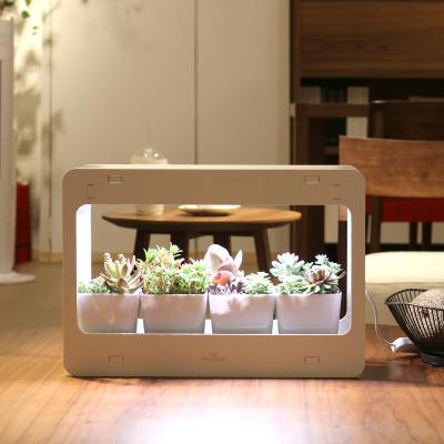 China Healthy Herb Garden Kit Indoor White Grow Light Home Window Planter Kit for Herbs Succulents and Vegetables Plant Light for sale