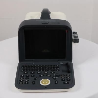 China UN6602 Metal Hospital Use Digital Pw/3D Ultrasound Machine for sale