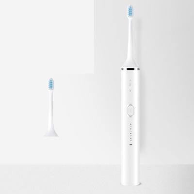 China Rechargeable Electric Toothbrush for Adults and Children, Waterproof Whitening Electric Toothbrushes, Whitening 252*26*26mm for sale