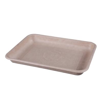 China 9Inch 100% Sugar Bagasse Product Pulp Bagasse Disposable and Compostable Dish for sale