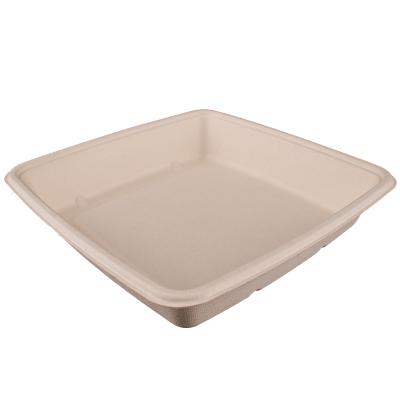 China Disposable Biodegradable Food Container Square Shops Bagasse Lunch Box Takeout Food Container With Lid for sale