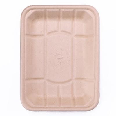 China Disposable Biodegradable Sugarcane Bagasse Food Packaging Trays for sale