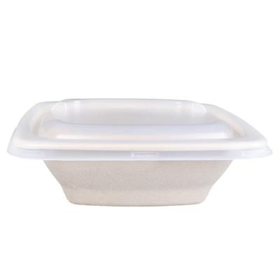 China Wholesale High Quality Disposable Environmentally Friendly Salad Bowl Bowls Sugarcane Bagasse Food Serving Bowl for sale