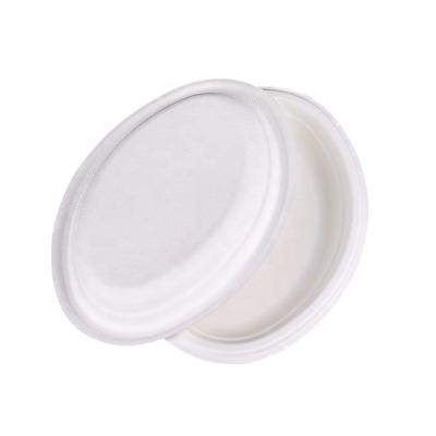 China New Arrival Customization Plate Disposable Elegant Disposable Disposable Dishes Biodegradable Disposable Dishes for sale