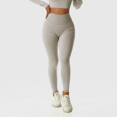 China Nylon ammonia blend Seamless Knitted Slim Fit Quick Dried Yoga Sports Fitness Pants Sexy, Breathable, Hip Showing Bottom Pants for sale