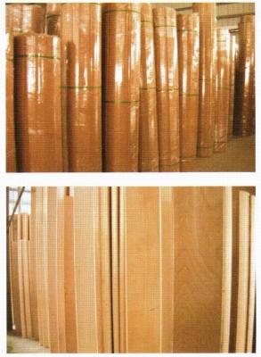 China La madera contrachapada rotatoria para el diámetro que cortaba con tintas rotatorio 360/487 longitudes haya de 1800 a de 3000m m curvó Dieboard en venta