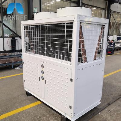 China Refrigeration Parts Cold Chamber R404 Two Stage Air Cooled Refrigeration Condensing Unit for sale