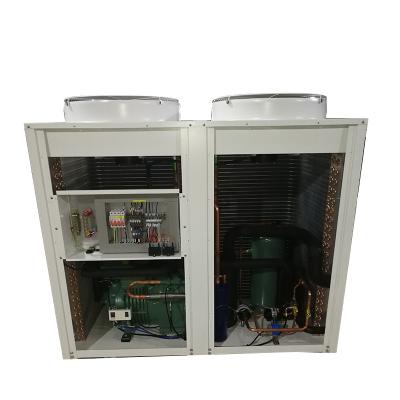 China Cheap Refrigeration Parts Rate Two Stage Air Cooled Condensing Unit for sale