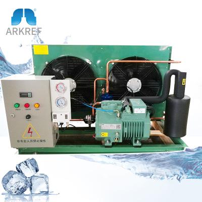 China Refrigeration Industry Unit Cold Room Low Temperature Air Cooled Compressor Condensing Unit for sale