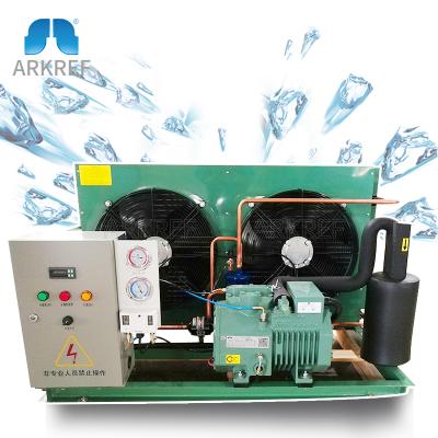 China Refrigeration Cold Room Compressor Unit Low Temperature Condensing Air Cooled Condensing Unit for sale