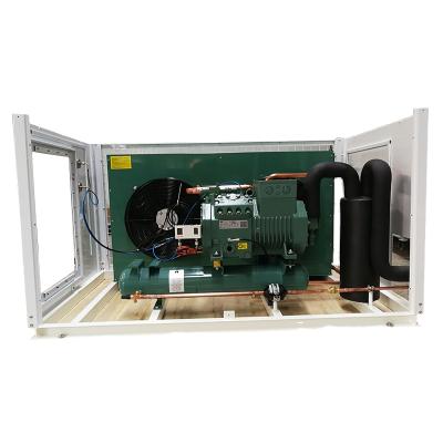 China Garment Shops Cooling Device Bitzer Screw Compressor Unit Low Temperature Air Cooled Condensing Unit for sale