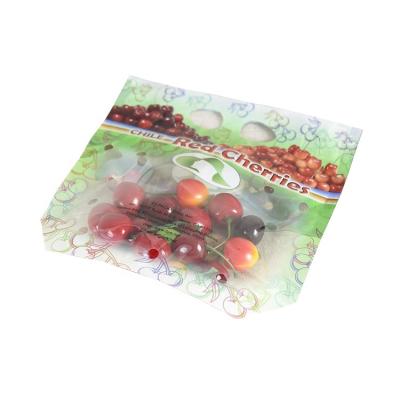 China Wholesale Moisture Proof Packaging Bags Custom Logo Stand Up Zip Lock Plastic Bags With Holes For Fruit for sale