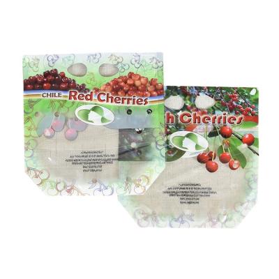 China Moisture Proof Recyclable Packaging Bag With Holes For Fruit Packing Holder Up Transparent Mylar Ziplock Bags for sale