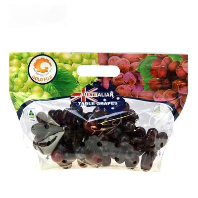 China Free Samples Moisture Proof Fresh Vegetable Fruit Plastic Packaging Anti Fog Bag With Vent Air Hole And Zipper for sale