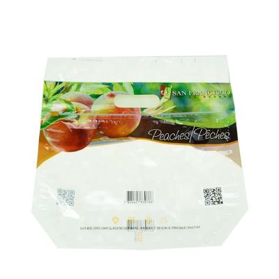 China Custom Printing Moisture Proof Recycle Fruit Sack Plastic Packaging Anti Fog Grape Bag With Vent Hole for sale