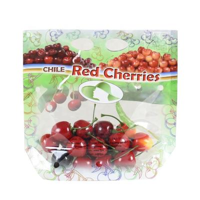 China Wholesale Moisture Proof Plastic Clear Bag With Holes For Fruit Packaging Stand Up Plastic Bag Packaging With Zipper for sale