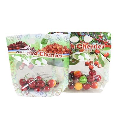 China Professional Package Bag Moisture Proof Packaging Supplier Plastic Packaging Stand Up Biodegradable Ziplock Bag For Fruit for sale